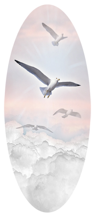 DA18 101 PK Journey Home Clouds Birds Pink